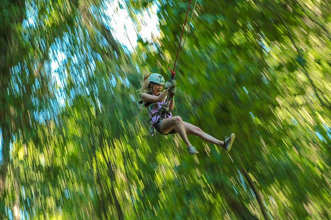 Extreme Adventure, Wildest Bridge, ATV & Ziplines - What You Really Pay For: $129, Equipment Included, and Extras to Budget
