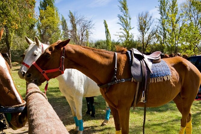 Extreme Horses Adventure with ATV, Ziplines & Cenote - Ziplines and hanging bridges, plan for the number you will actually do