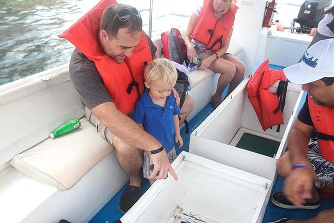 Famous Arch tour with Glass Bottom Boat. - How This 45-Minute Cabo San Lucas Arch Cruise Actually Feels