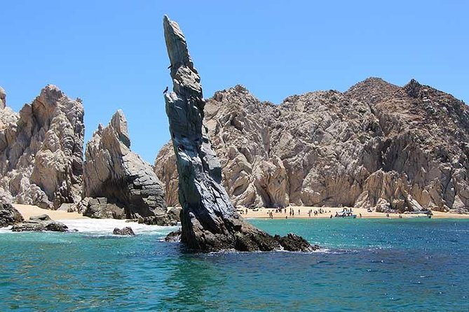 Famous Arch tour with Glass Bottom Boat. - Meeting at the Marina, Then Rolling Straight to the Sights