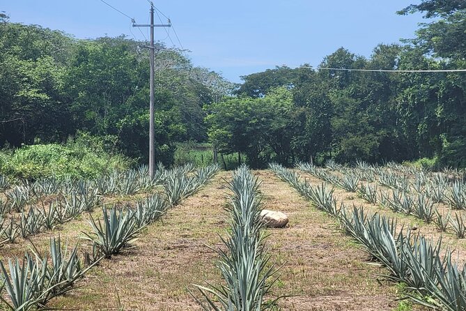 Finca 18 Puerto Vallarta Tequila Tour + Chocolate Pairing - Photo time and the gift shop, without feeling pressured