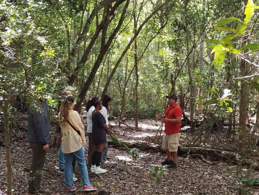 From Bacalar: Calakmul Ruins Expedition & Jungle Trek - Price and tickets: where the real cost lands