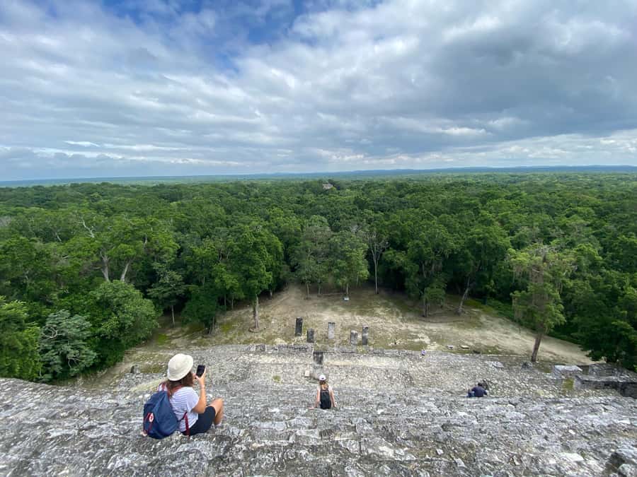 From Bacalar: Calakmul Ruins Expedition & Jungle Trek - Jungle trek in Calakmul Biosphere Reserve: where your eyes learn to work