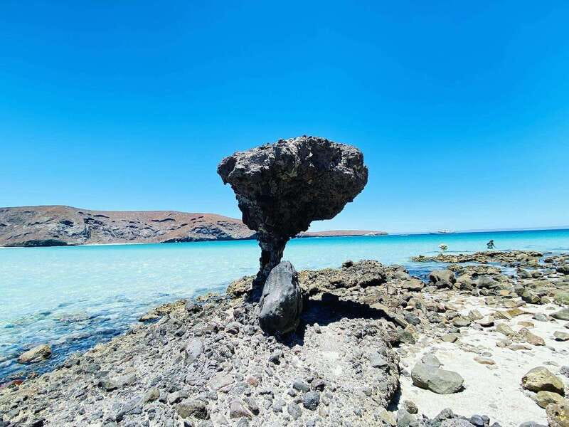 From Cabo/San José del Cabo: La Paz, Balandra & Todos Santos - Coromuel Beach: A Short Stretch for Photos and Local Flavors