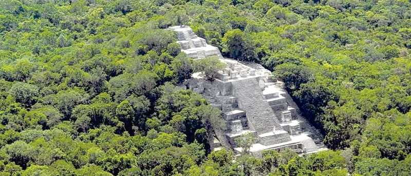 From Campeche: Calakmul Guided Nature and History Day Trip - The birdwatching hike: seeing wildlife, not just hearing about it