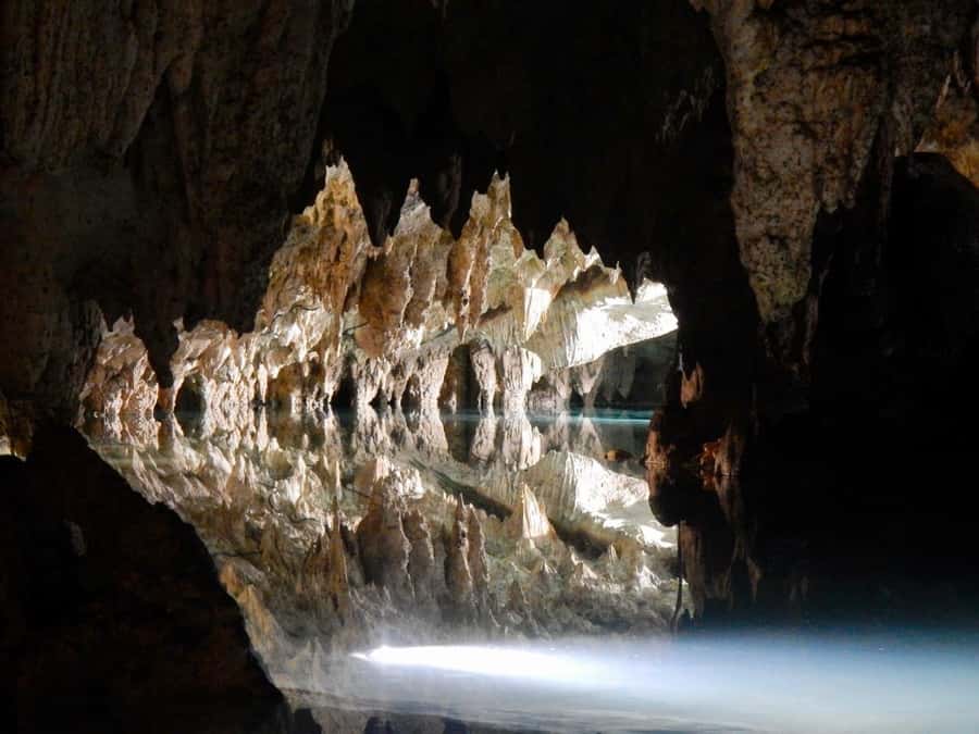 From Cancun: ATV, Cenote, and Rappelling Jungle Experience - What Makes This Cancun Jungle Adventure Worth Your Time