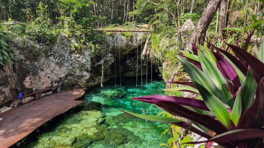 From Cancun: Day Trip to Tulum, Cenote & Playa del Carmen - Playa del Carmen on Quinta Avenida: Lively Shops, Quick Beach Breather