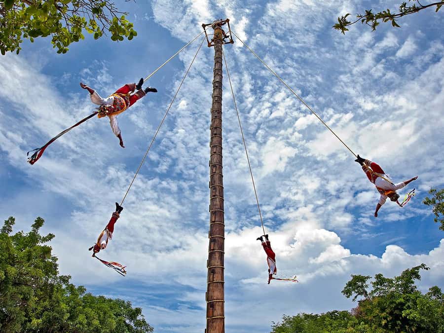 From Cancun: Full Combo to Xcaret Park! - Price and logistics: picking the right ticket option without regrets