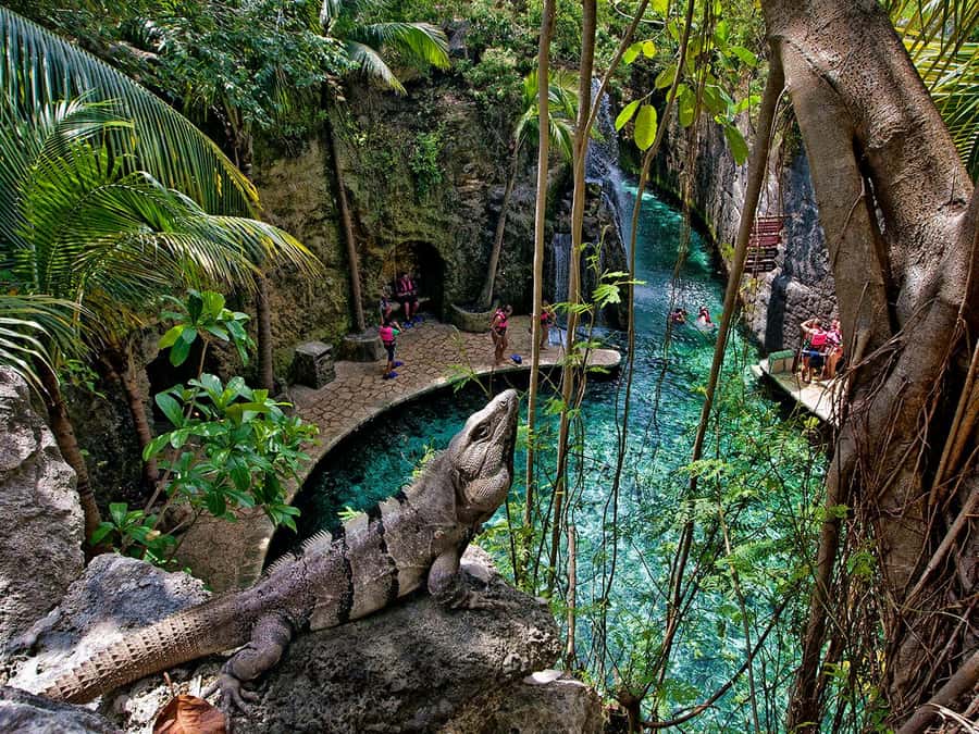 From Cancun: Full Combo to Xcaret Park! - From Cancun pickup to arriving at Xcaret: how to use the day well