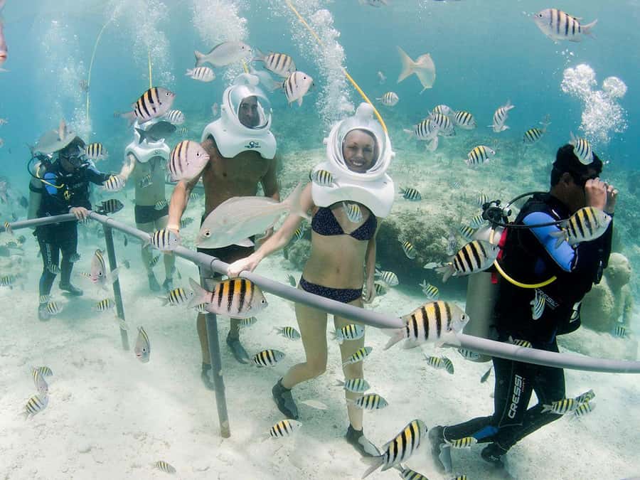 From Cancun: Full Combo to Xcaret Park! - Cultural performances and the Xcaret Mexico show: why it feels more than entertainment
