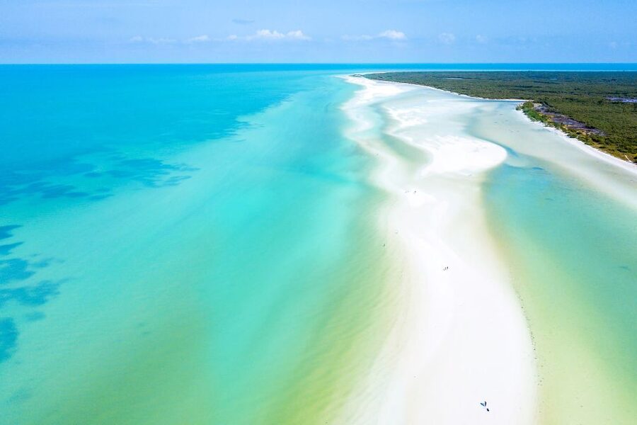 From Cancun or Puerto Morelos: Holbox Boat Tour with Lunch - Key Points Before You Go