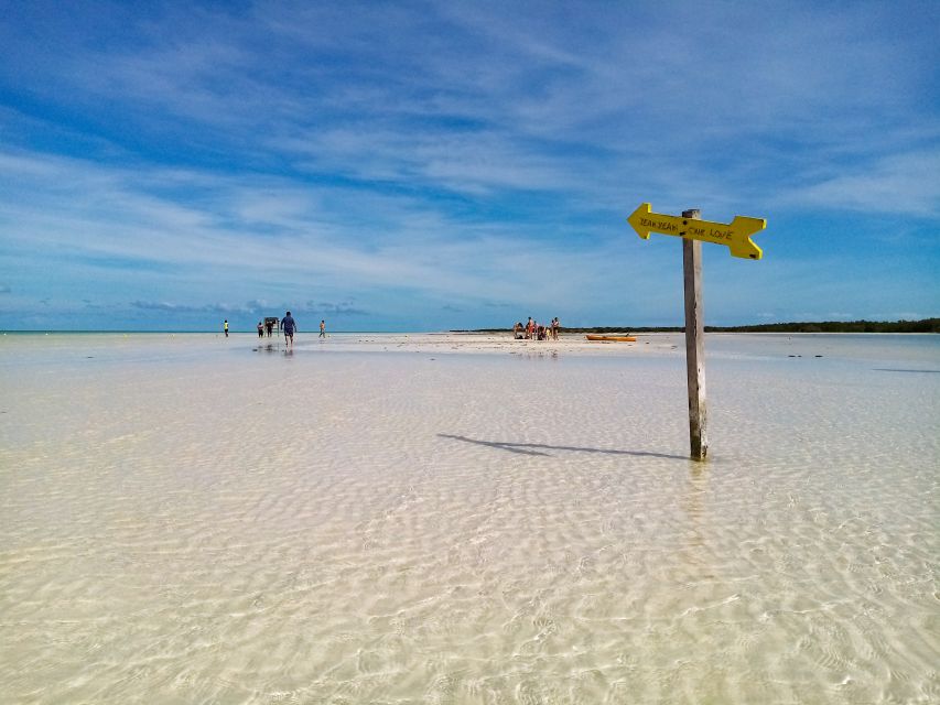 From Cancun or Puerto Morelos: Holbox Boat Tour with Lunch - Price and Value, Plus the $40 USD Surcharge Reality