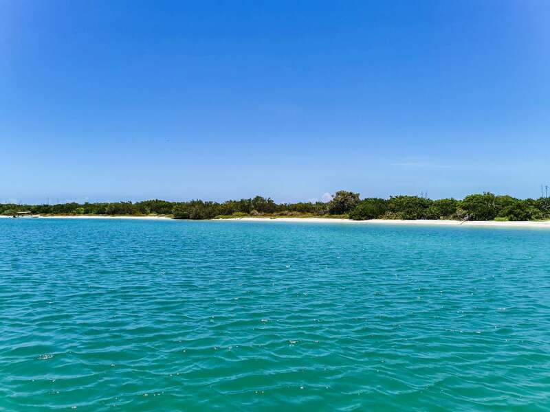 From Cancún: Rio Lagartos & Las Coloradas Day Trip & Lunch - The Real Tradeoff: A 12-Hour Nature Day From Cancún