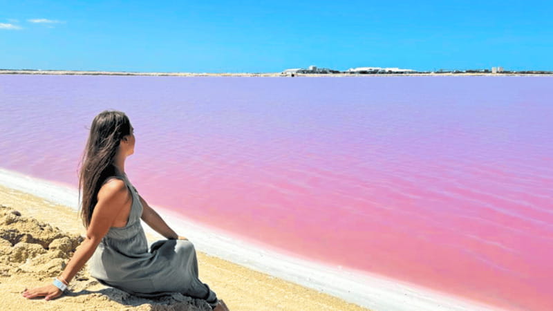 From Cancún: Rio Lagartos & Las Coloradas Day Trip & Lunch - Rio Lagartos Lunch and Secret Stop Breaks