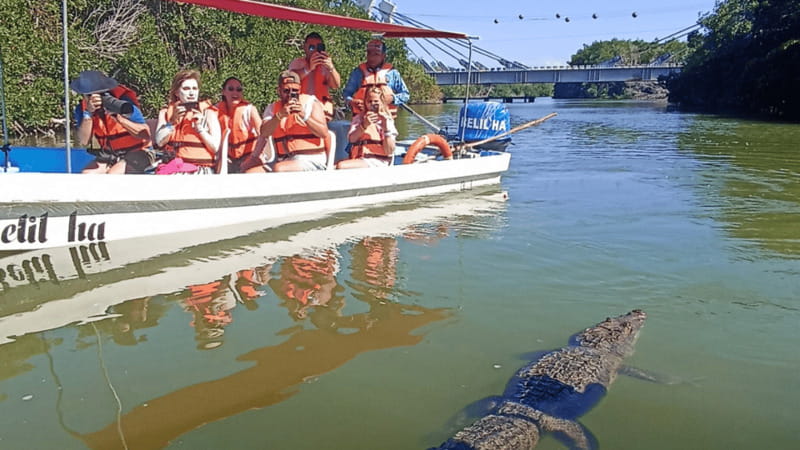 From Cancún: Rio Lagartos & Las Coloradas Day Trip & Lunch - FAQ