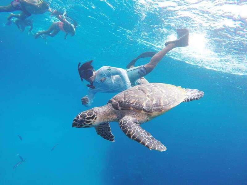From Cozumel: 3 Reefs Boat Tour with Drinks and Snorkeling - How the three-reef route pays off in real life