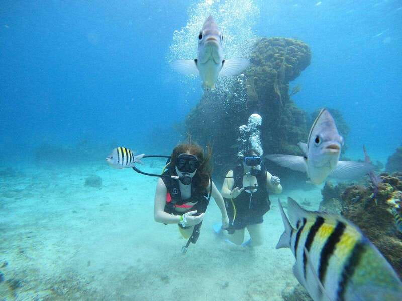From Cozumel: Chankanaab Cozumel Scuba Diving - Price and Logistics: What $60 Includes, and the $11 Marine Fee