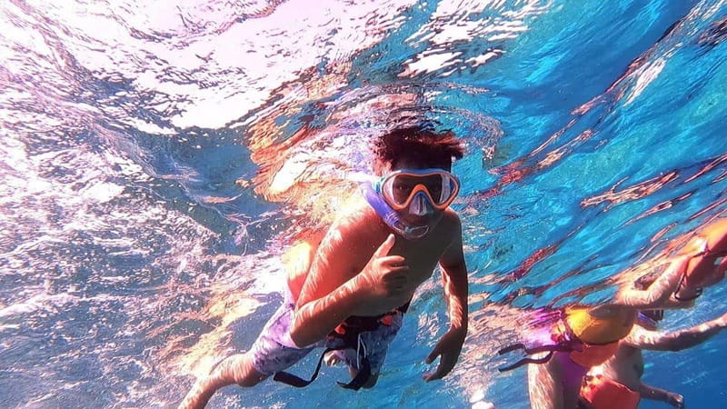From Cozumel: Official Chankanaab Park Day Pass and Snorkel - Chankanaab Park: a reef-beach mix you can actually enjoy