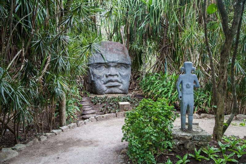 From Cozumel: Official Chankanaab Park Day Pass and Snorkel - Meeting point at the big palapa, and who to ask for
