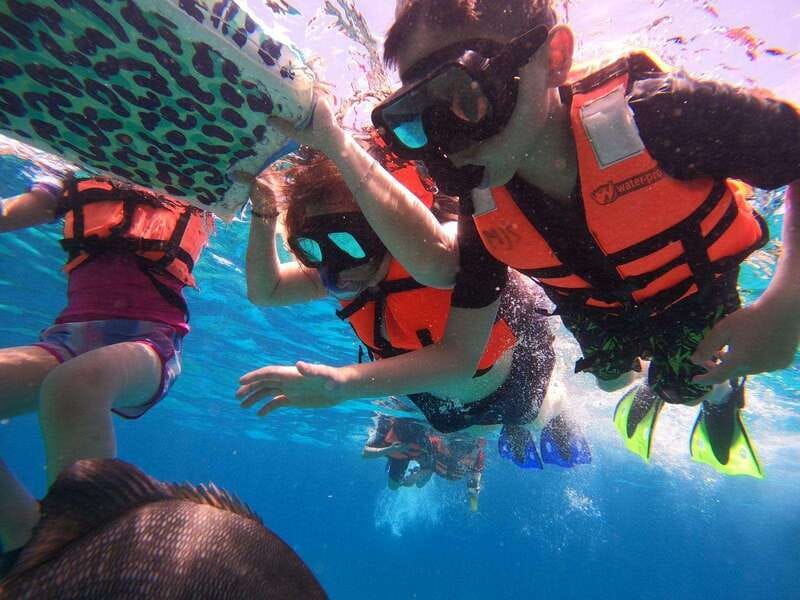 From Cozumel: Official Chankanaab Park Day Pass and Snorkel - Price and value: $35 plus one extra fee