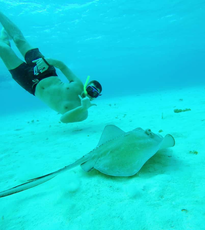 From Cozumel: Starfish, Stingrays & El Cielo Beach Snorkel - Playa Palancar: a smooth warm-up before the big moments