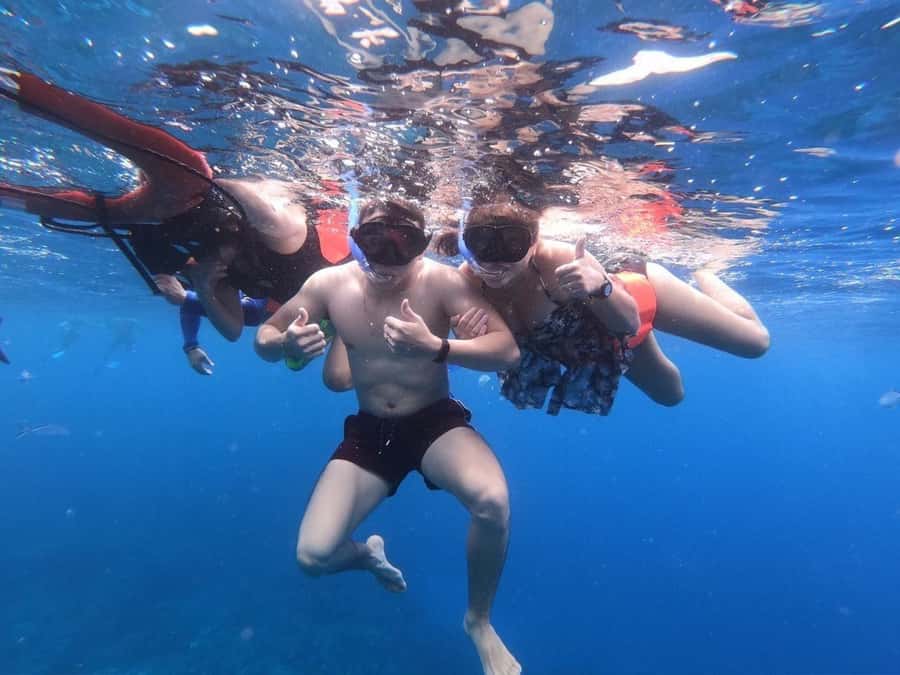 From Cozumel: Starfish, Stingrays & El Cielo Beach Snorkel - Turtle Bay time: meeting turtles at a gentler pace