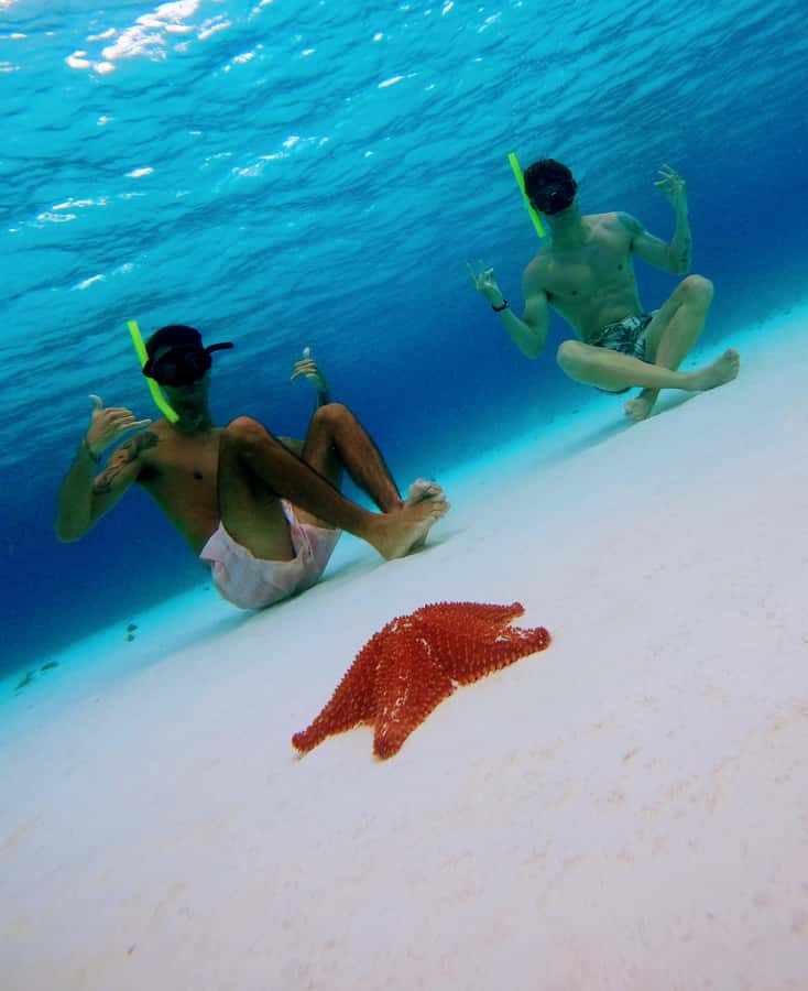 From Cozumel: Starfish, Stingrays & El Cielo Beach Snorkel - The guides and crew: where safety meets fun