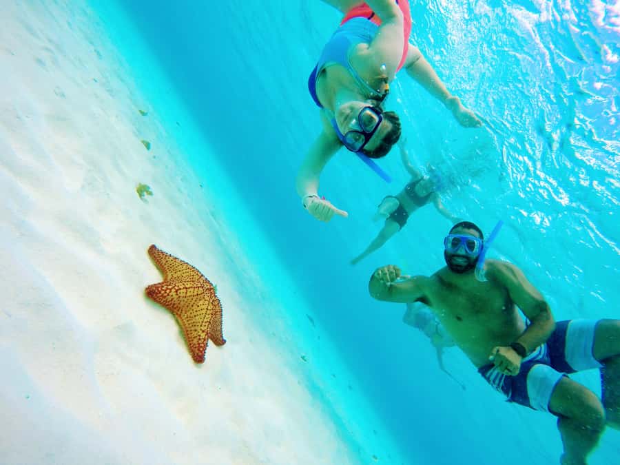 From Cozumel: Starfish, Stingrays & El Cielo Beach Snorkel - Getting to the water fast from Marina Asipona (the real “port win”)