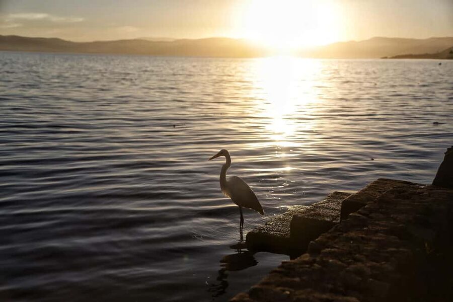 From Guadalajara: Chapala Lake & Ajijic Tour - Should You Book This Chapala And Ajijic Day Trip?
