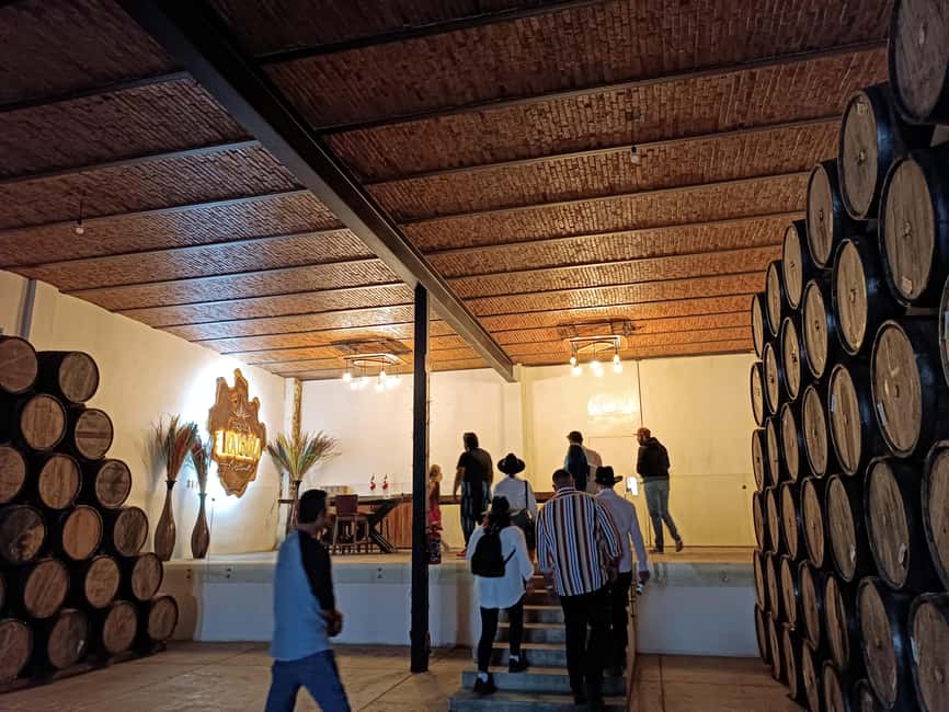 From Guadalajara: Tequila Town and Cantaritos El Guero - Guide quality makes or breaks the experience