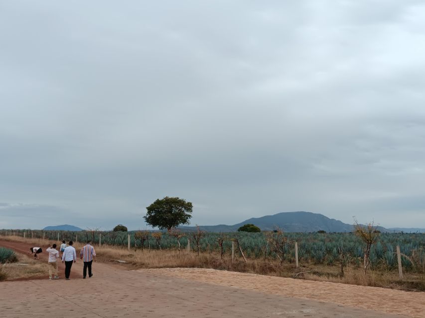 From Guadalajara: Tequila Town and Cantaritos El Guero - What the tequila tasting teaches you, beyond the shots