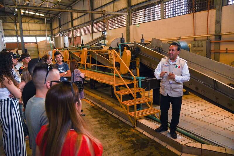 From Guadalajara: Tequila Trail Tour with Tasting - Key highlights you will actually use