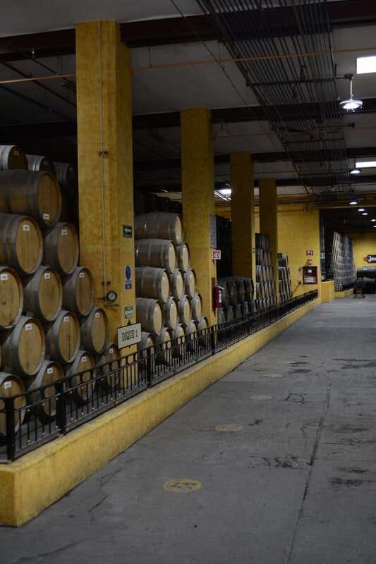 From Guadalajara: Town of Tequila & Jose Cuervo Factory Tour - What to bring (and what to expect from the tour day)