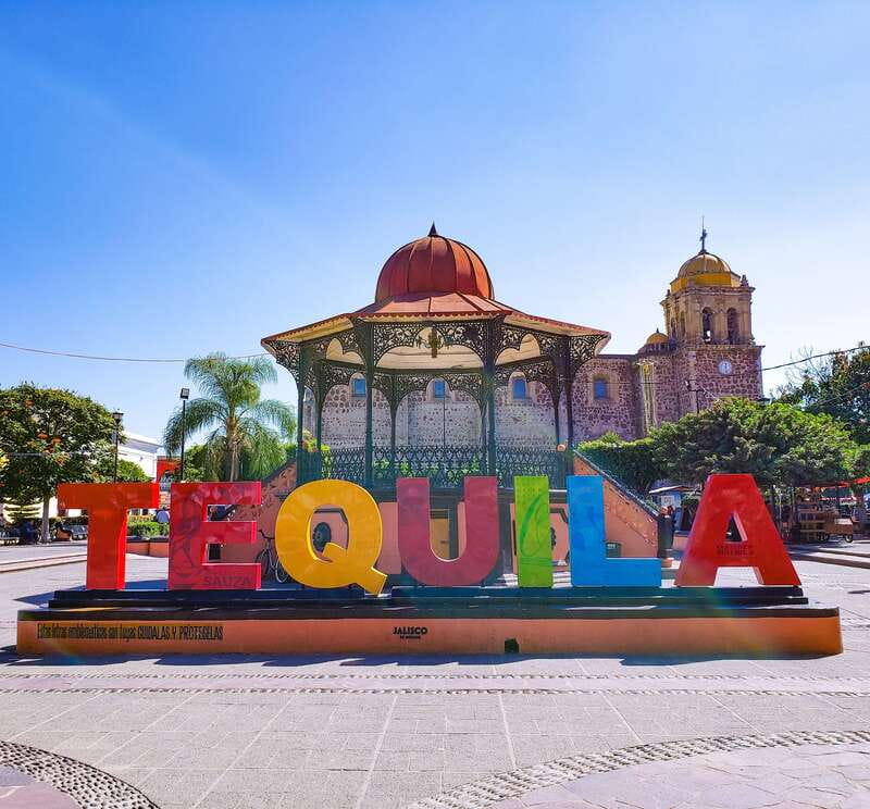 From Guadalajara: Town of Tequila & Jose Cuervo Factory Tour - The agave fields: where the story starts