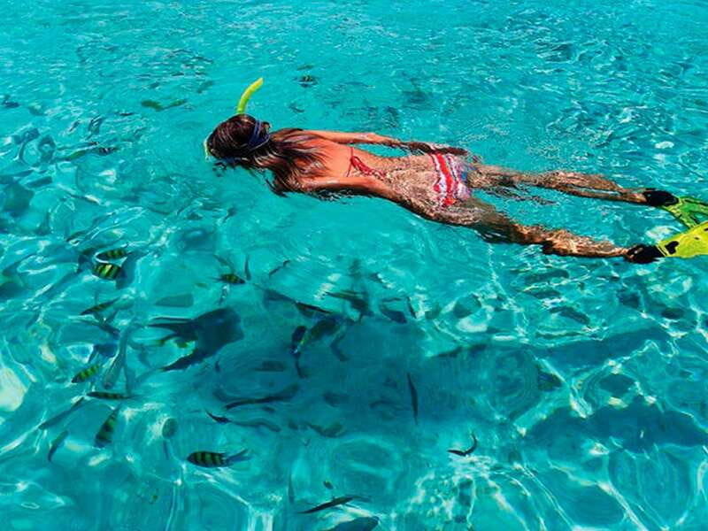 From Loreto: Coronado Island Snorkel - Key points before you go
