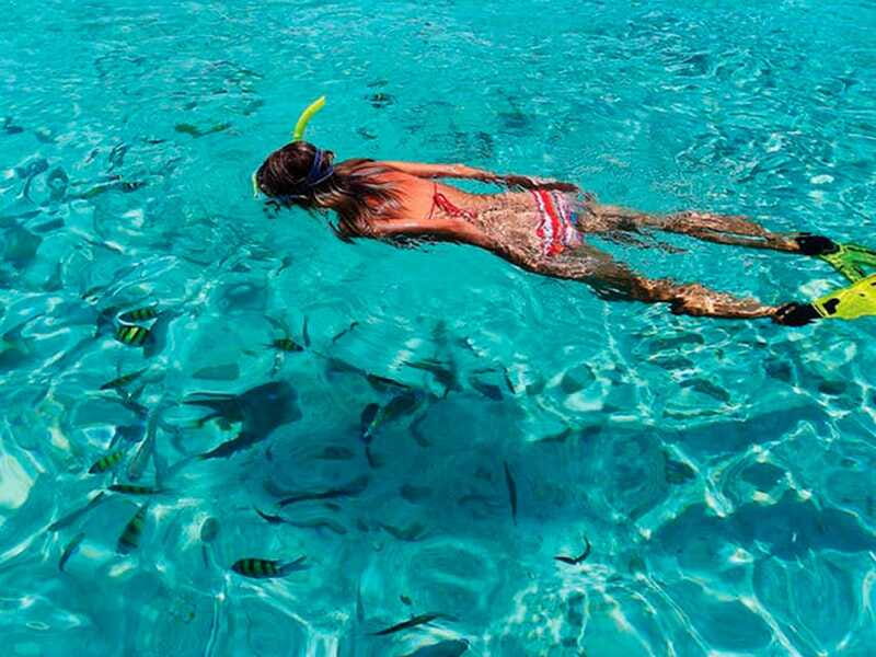 From Loreto: Coronado Island Snorkel - Sea turtles on Coronado: why the timing changes the vibe