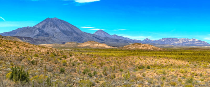 From Los Cabos: City Tour La Paz, Balandra and Todos Santos - Key things to know before you go