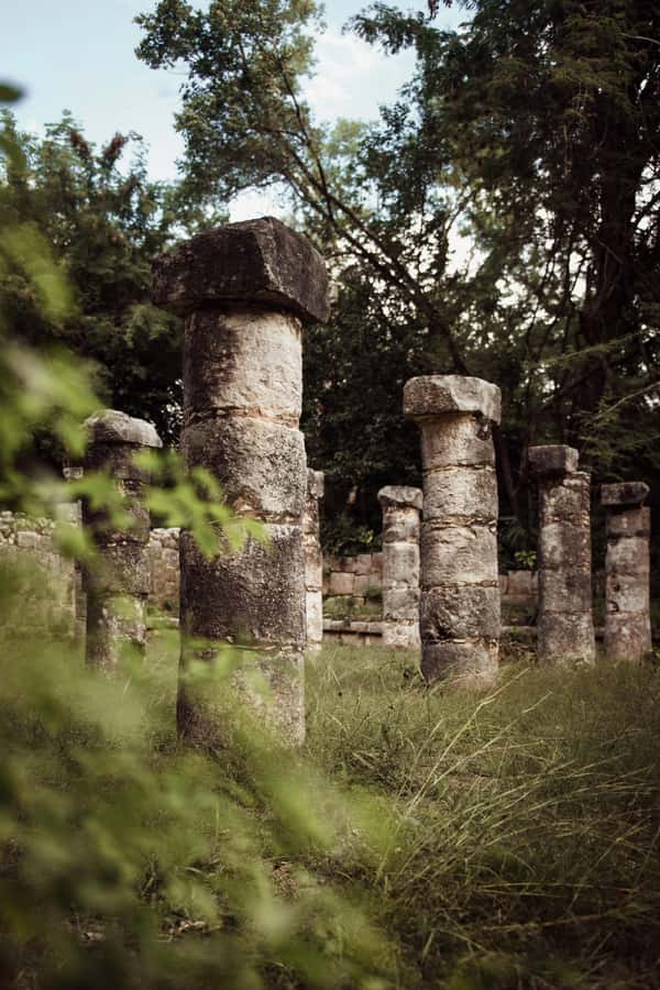 From Merida: Chichen Itza, Cenote, and Izamal, a Magical Town with Lunch - Early Chichén Itzá: sunrise timing and what your guide should point out