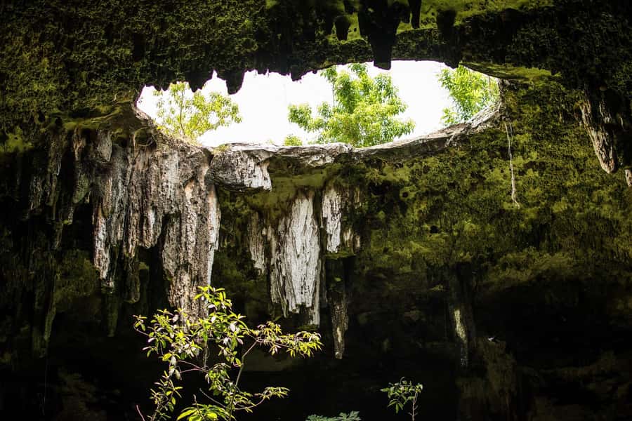 From Merida: Chichen Itza, Cenote, and Izamal, a Magical Town with Lunch - Who should book this day trip, and who should skip it
