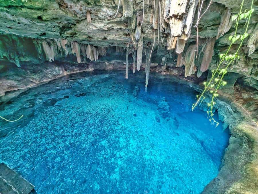From Mérida:Explore 4 Rural Cenotes with a Traditional lunch - Open cenotes: turquoise water, birdsong, and easy entrance to the day
