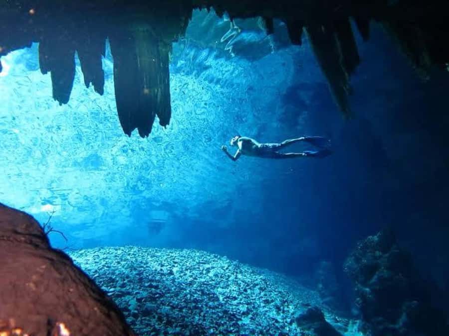 From Mérida:Explore 4 Rural Cenotes with a Traditional lunch - Abalá and San Antonio Mulix: swimming, scuba time, and that surreal blue