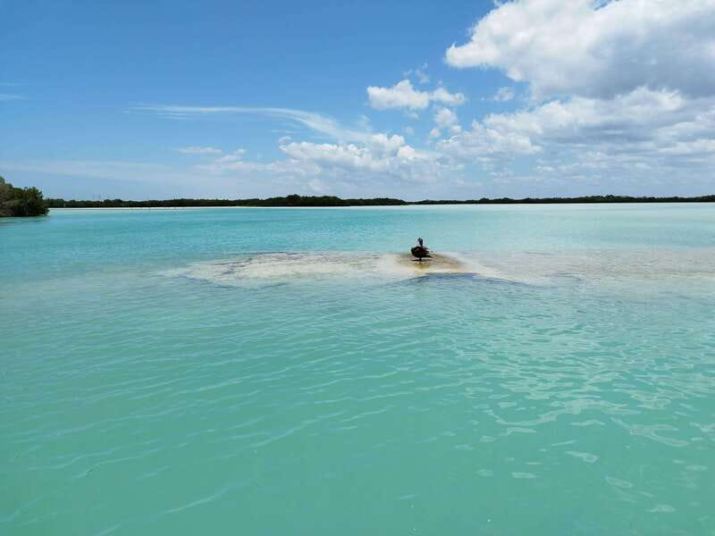 From Merida: Isla Columpios & Progreso - Speed boat to Isla de los Columpios: why the crossing is part of the attraction