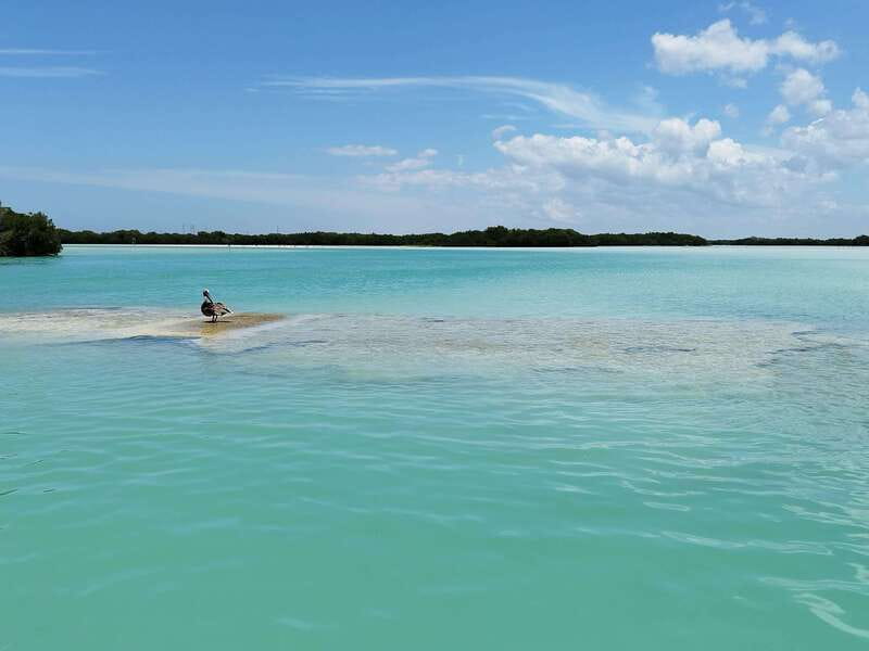 From Merida: Isla Columpios & Progreso - What to bring, what to avoid, and who this tour fits best