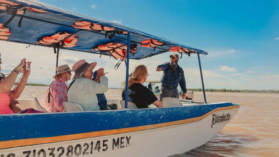 From Merida to Celestún: Biosphere, Flamingos & Beach Escape - Mangrove Boat Cruise: Where the Ecosystem Does the Talking