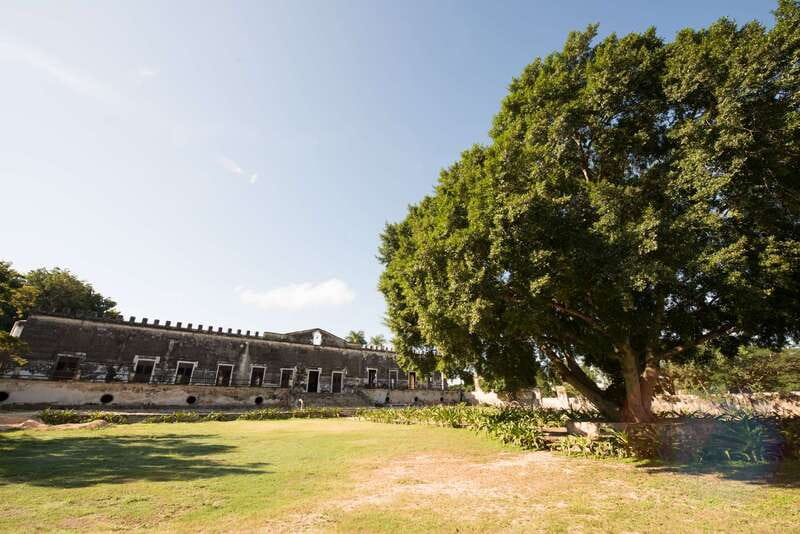 From Merida: Uxmal, Hacienda Yaxcopoil and Cenote with Lunch - Should You Book This Uxmal, Yaxcopoil, and Peba Cenote Tour?