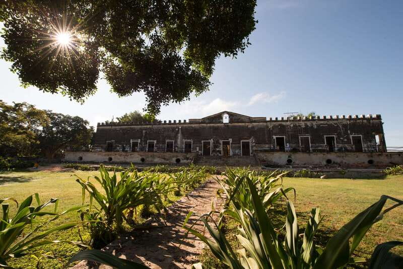 From Merida: Uxmal, Hacienda Yaxcopoil and Cenote with Lunch - Price and Value: Is $143 Fair for This Mix?