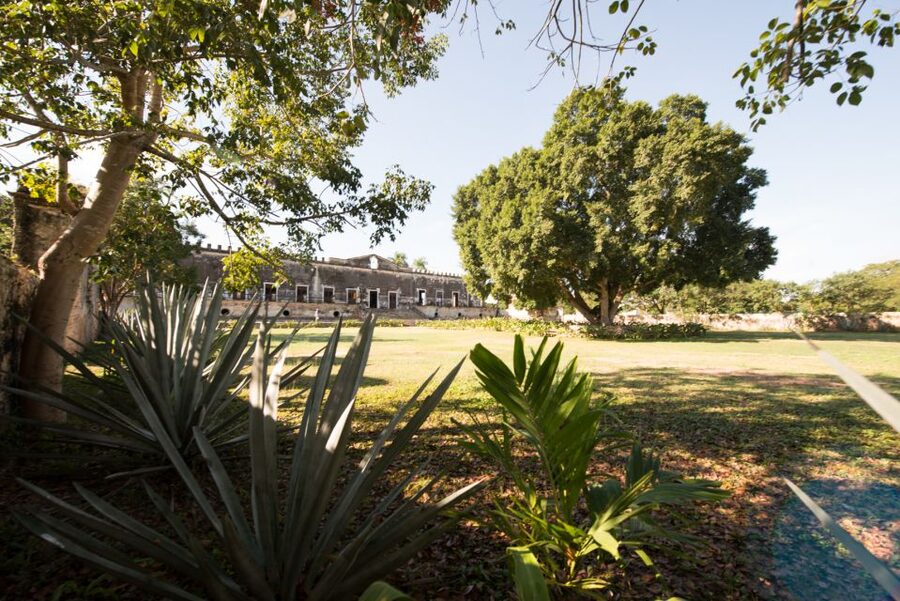 From Merida: Uxmal, Hacienda Yaxcopoil and Cenote with Lunch - Who Should Book This Tour, and Who Should Skip It