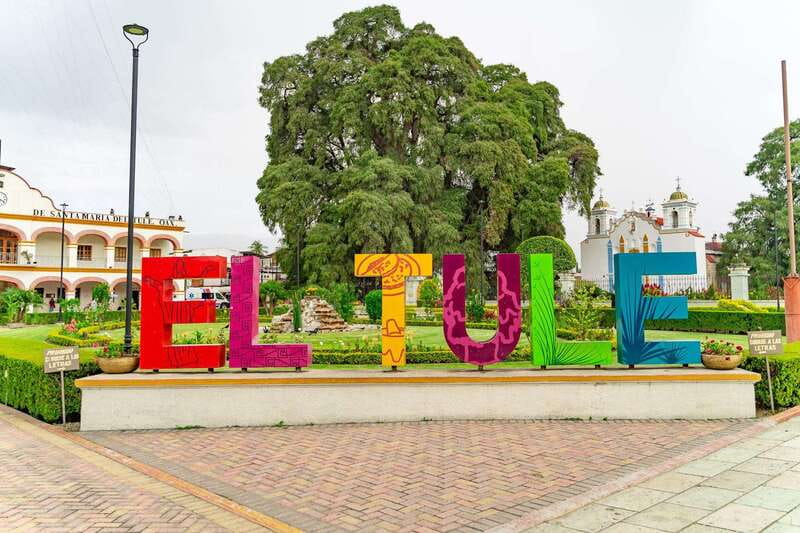 From Oaxaca: City, Mitla, and Mezcal Factory Tour - Key highlights you should care about
