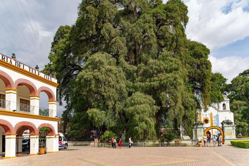 From Oaxaca: City, Mitla, and Mezcal Factory Tour - How this tour feels in real life (and who it fits)