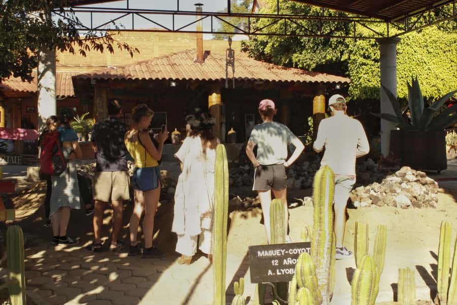 From Oaxaca de Juarez: Hierve el Agua and Mezcal Distillery - Natural pools near Hierve el Agua: the refresh button, with smart precautions